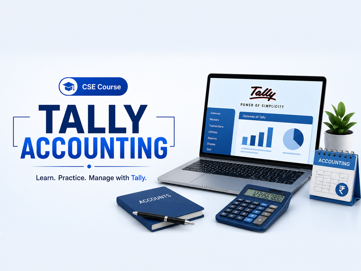 Tally Accounting